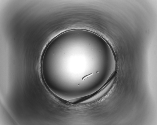 X0000096721525200802051432