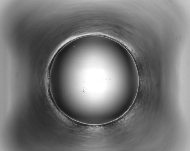 X0000096721526200802051432