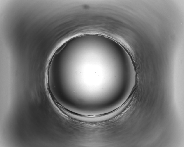 X0000096721528200802051432