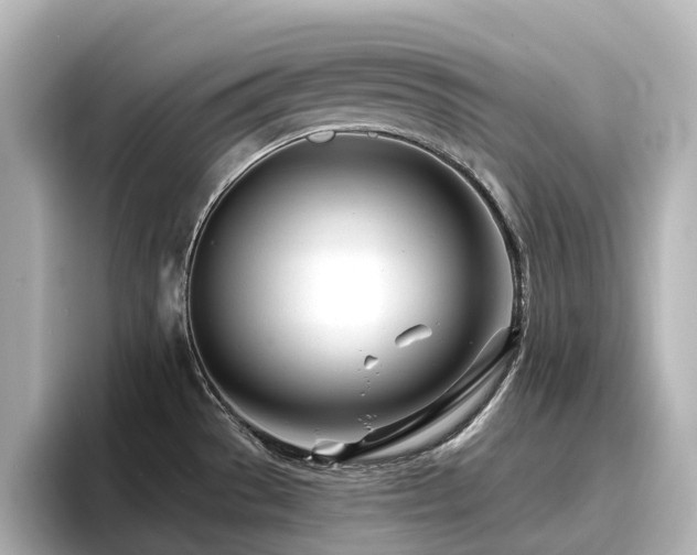 X0000096721529200802051432