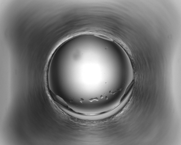 X0000096721530200802051432
