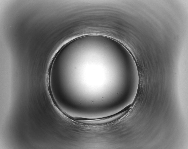 X0000096721531200802051432