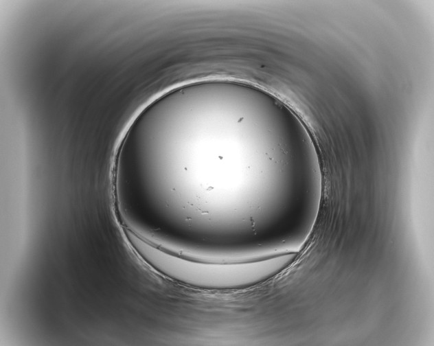 X0000096721532200802051432