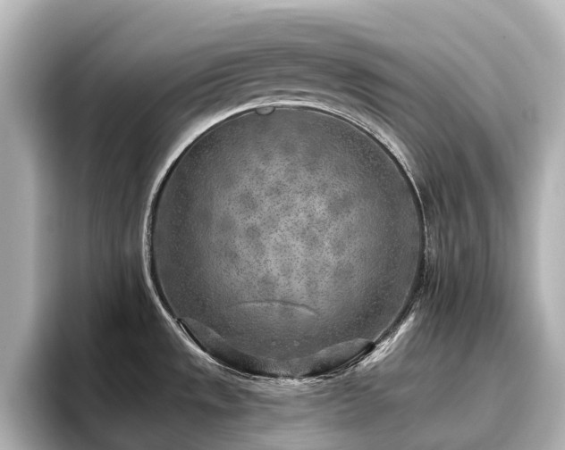 X0000096721533200802051432