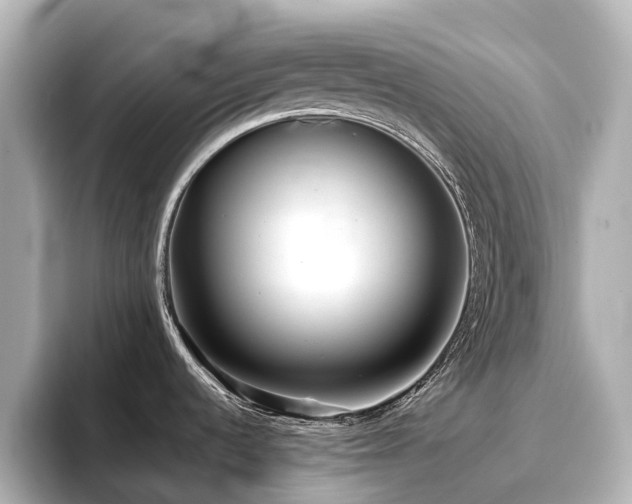 X0000096721536200802051432