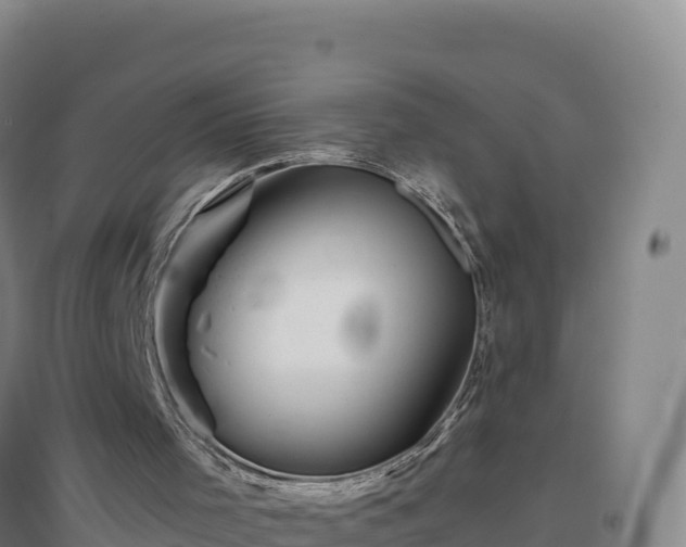 X0000096720001200802121259