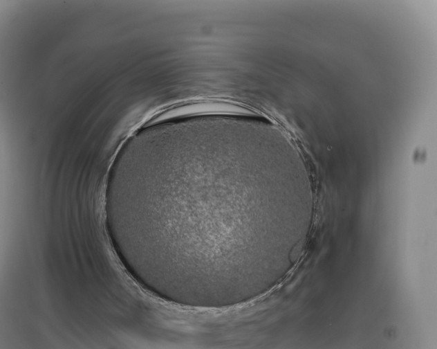 X0000096720002200802121259