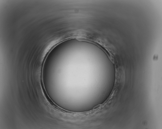 X0000096720003200802121259