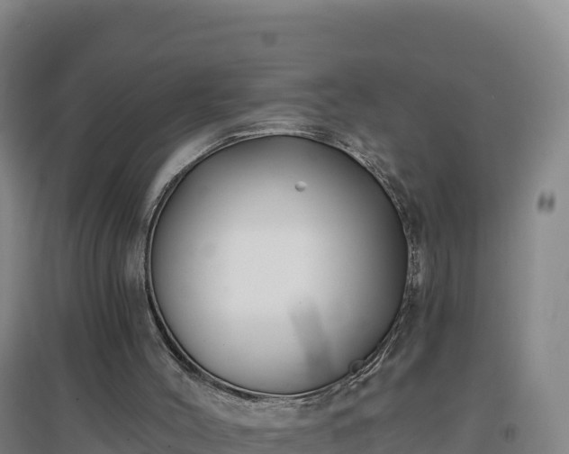 X0000096720004200802121259