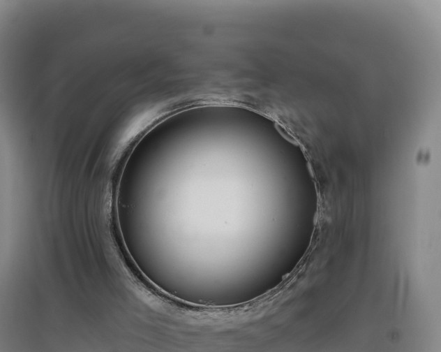 X0000096720005200802121259