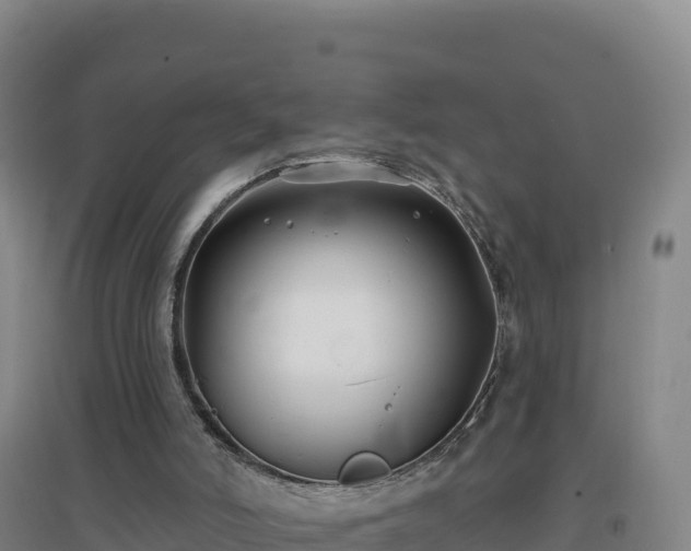 X0000096720006200802121259