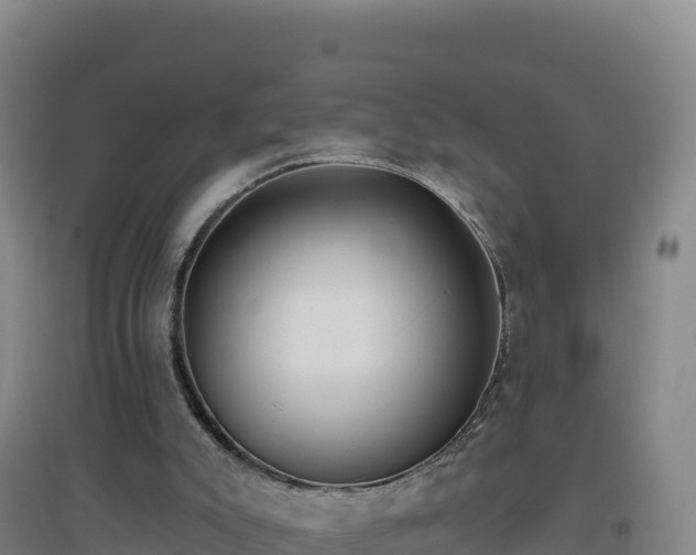 X0000096720007200802121259