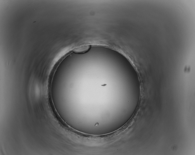 X0000096720008200802121259