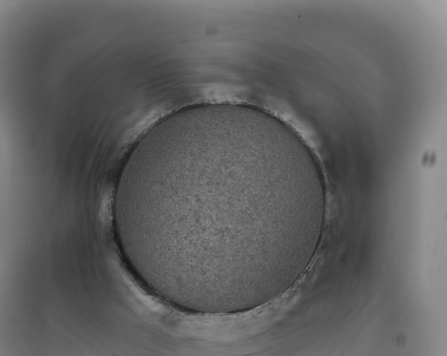 X0000096720009200802121259