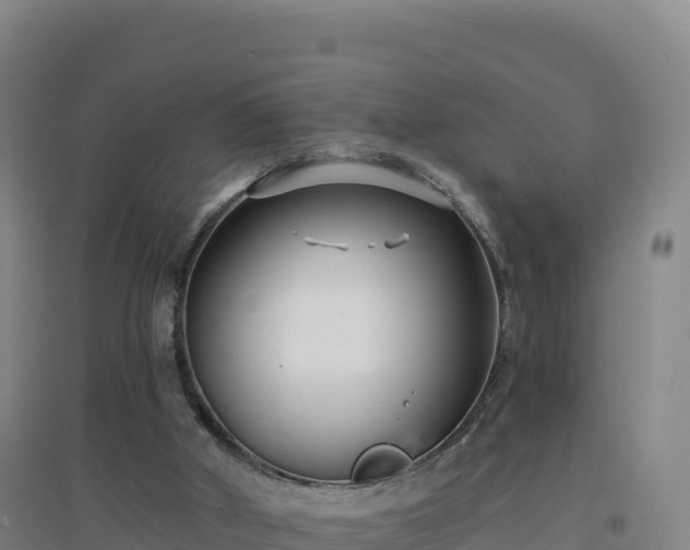 X0000096720010200802121259