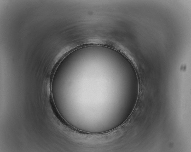 X0000096720011200802121259