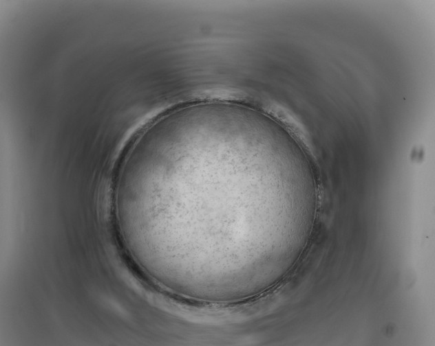 X0000096720012200802121259