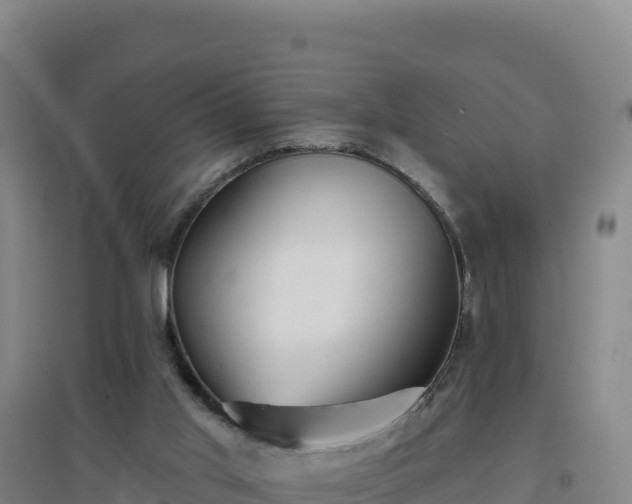 X0000096720013200802121258