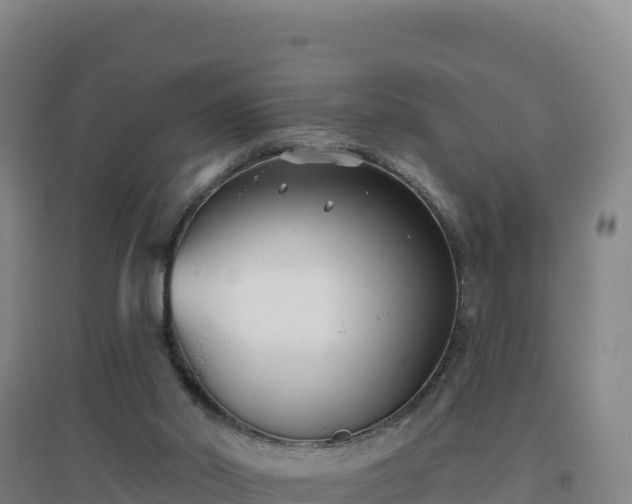 X0000096720014200802121258