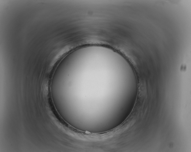 X0000096720015200802121258