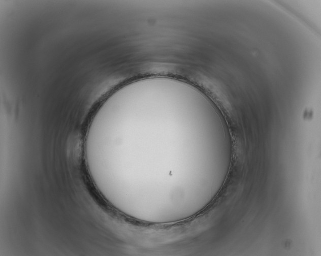 X0000096720016200802121258