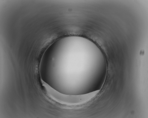 X0000096720017200802121258