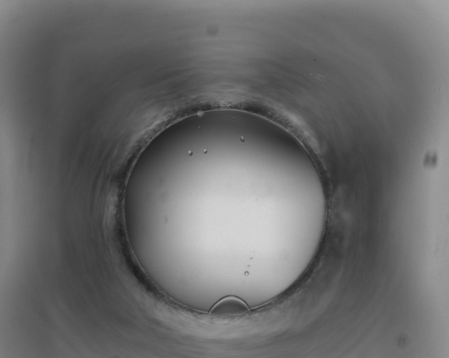 X0000096720018200802121258