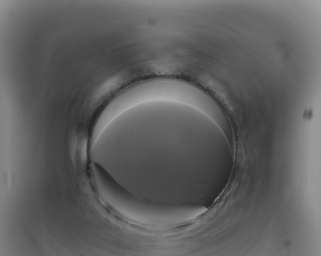 X0000096720019200802121258