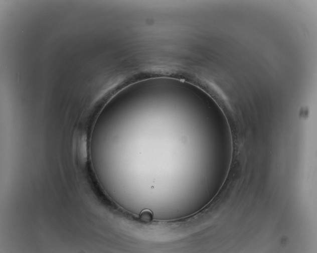 X0000096720020200802121258