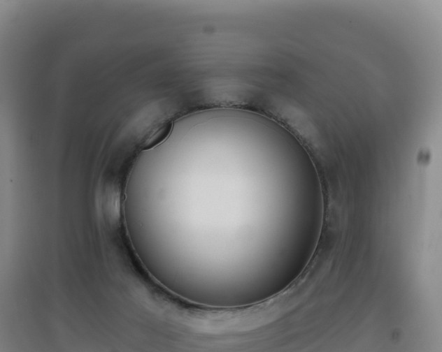 X0000096720021200802121258