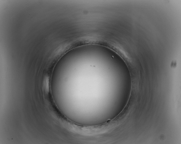 X0000096720022200802121258