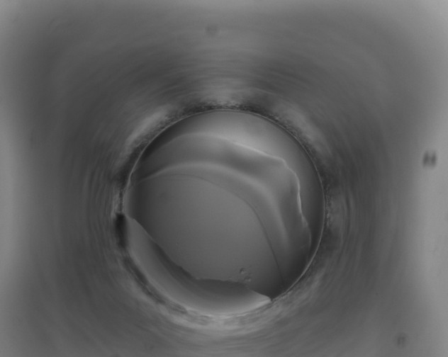 X0000096720023200802121258