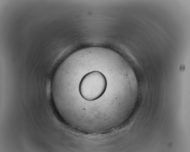 X0000096720024200802121258