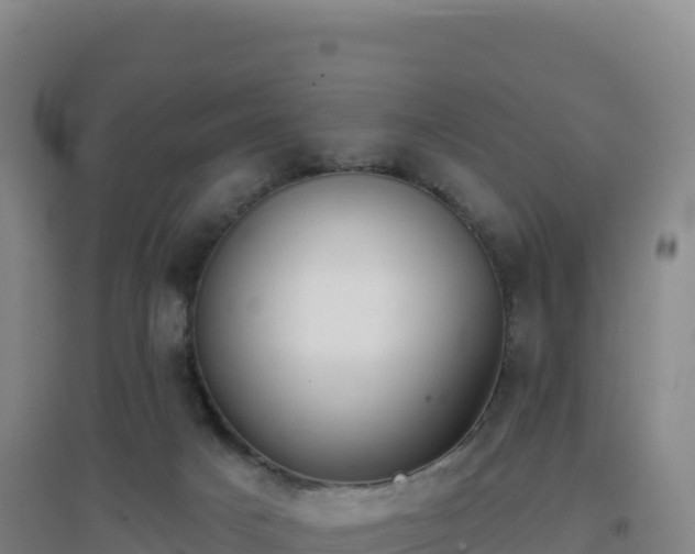 X0000096720025200802121258