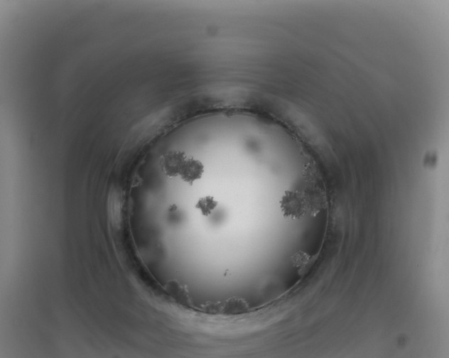 X0000096720026200802121258