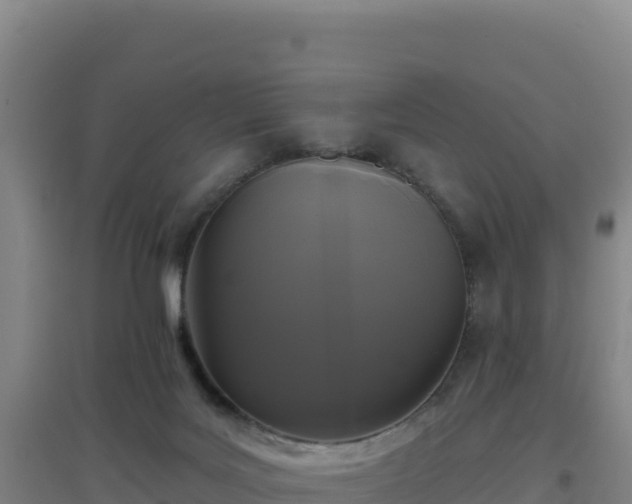 X0000096720027200802121258