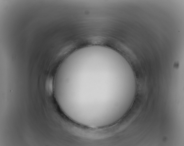 X0000096720028200802121258