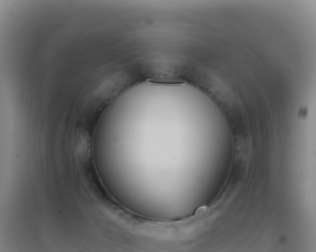 X0000096720029200802121258