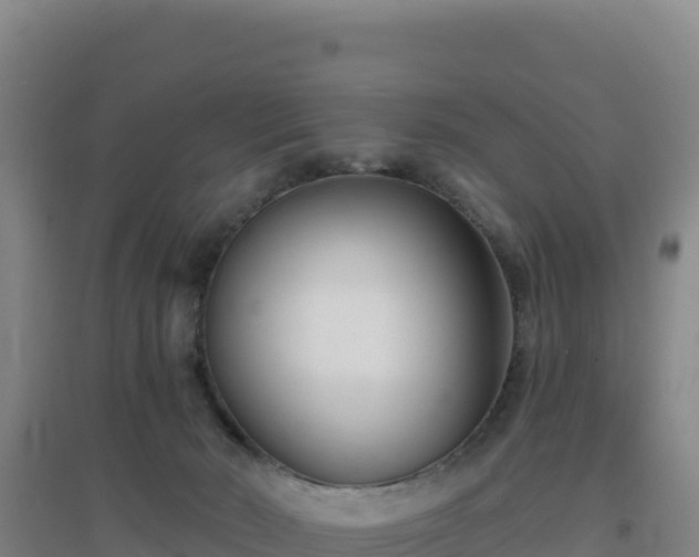 X0000096720030200802121258