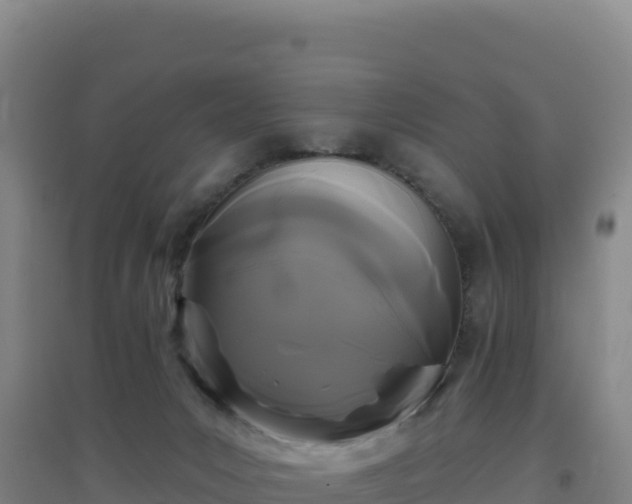 X0000096720031200802121258