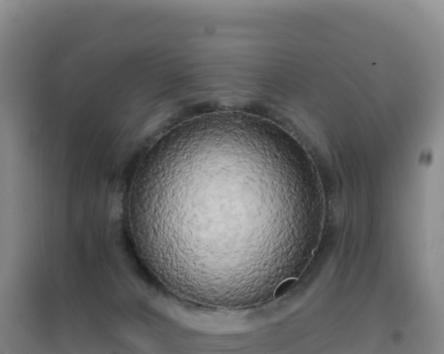 X0000096720032200802121258