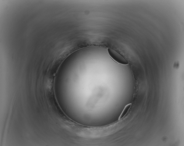 X0000096720033200802121258