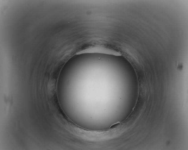 X0000096720034200802121258