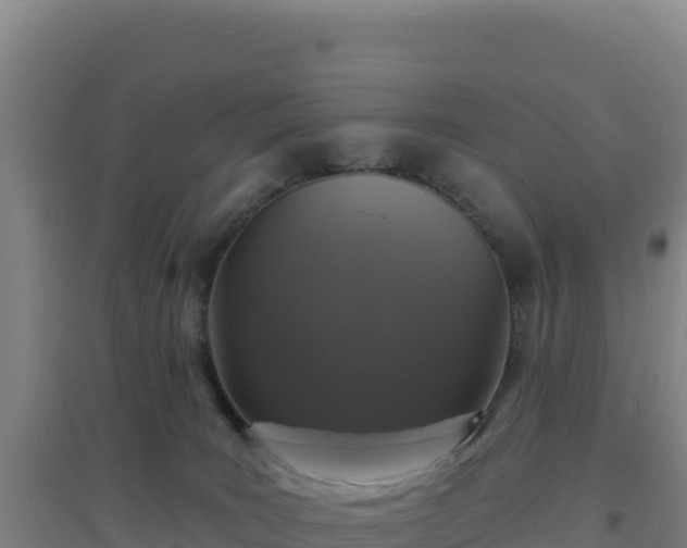 X0000096720035200802121258