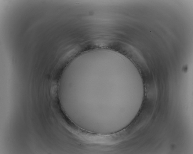 X0000096720036200802121258