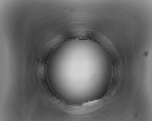 X0000096720037200802121258