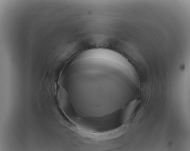 X0000096720039200802121258