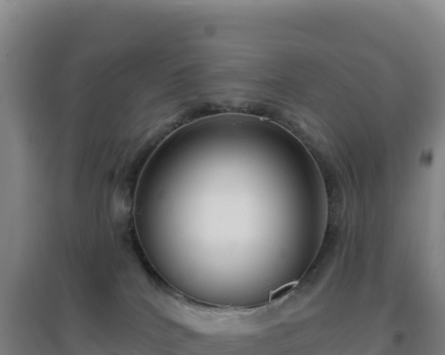 X0000096720040200802121258