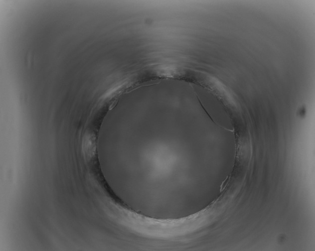 X0000096720043200802121258