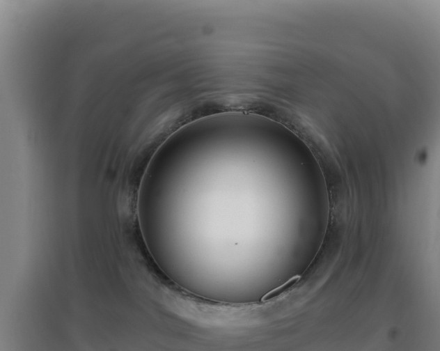 X0000096720044200802121258